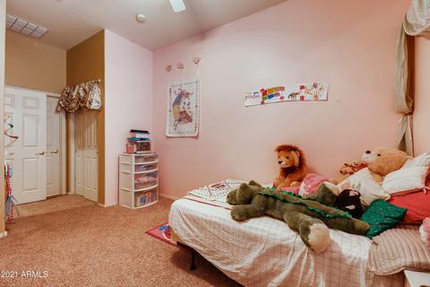 2406 W Apache Rain Rd, Phoenix, AZ 85085 photo 22