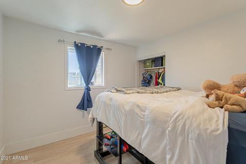 2823 E Tamarisk Ave, Phoenix, AZ 85040 photo 25
