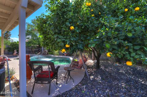 2371 E County Down Dr, Chandler, AZ 85249 photo 41