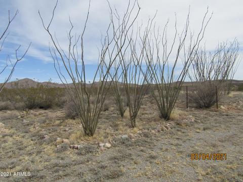 2429 S Swan Rd, Bisbee, AZ 85603 photo 26