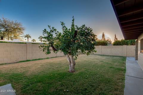 3427 E Minnezona Ave, Phoenix, AZ 85018 photo 34