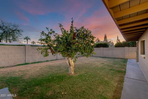 3427 E Minnezona Ave, Phoenix, AZ 85018 photo 30