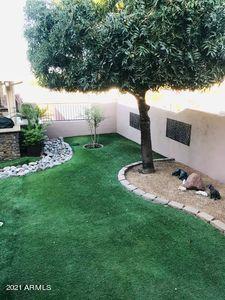 4275 E 6th Ave, Apache Junction, AZ 85119 photo 15