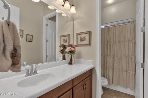 4090 E Beechnut Pl, Chandler, AZ 85249 photo 29