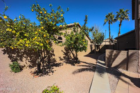 562 N Kingston St, Gilbert, AZ 85233 photo 38