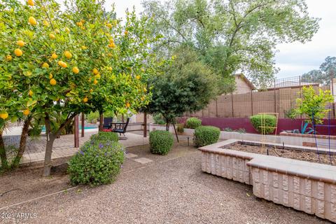 257 E Halifax St, Mesa, AZ 85201 photo 8