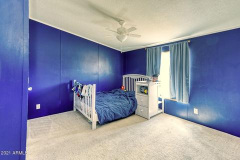 5441 E Sargent Rd, Hereford, AZ 85615 photo 20