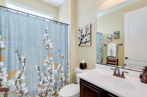 1165 E Kingbird Dr, Gilbert, AZ 85297 photo 43