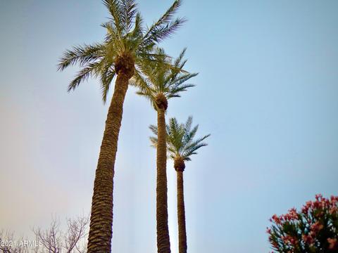 1737 E Osborn Rd, Phoenix, AZ 85016 photo 74
