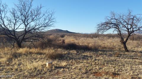 279 E Border Rd, Bisbee, AZ 85603 photo 10