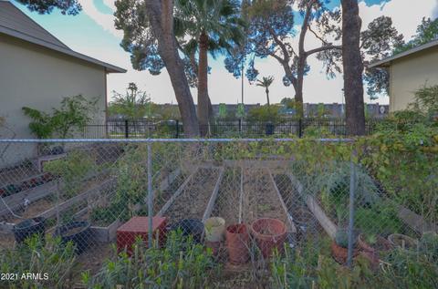 4430 E Belleview St, Phoenix, AZ 85008 photo 35