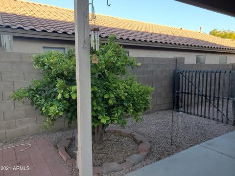 554 E Sherri Dr, Gilbert, AZ 85296 photo 8