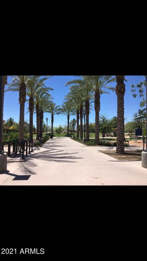 4146 E Pony Ln, Gilbert, AZ 85295 photo 6