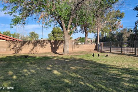 16728 E Fairview St, Gilbert, AZ 85295 photo 63