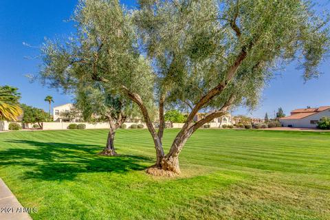 250 W Juniper Ave #83, Gilbert, AZ 85233 photo 36