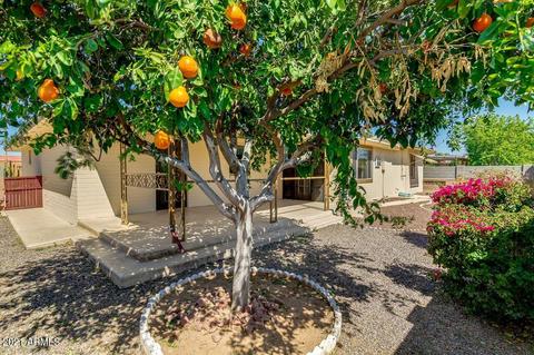 4545 E Delta Ave, Mesa, AZ 85206 photo 28