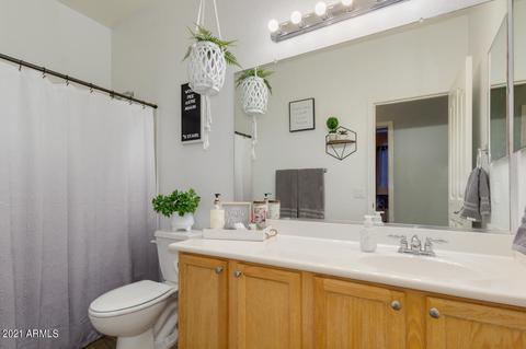 3728 E Andre Ave, Gilbert, AZ 85298 photo 24