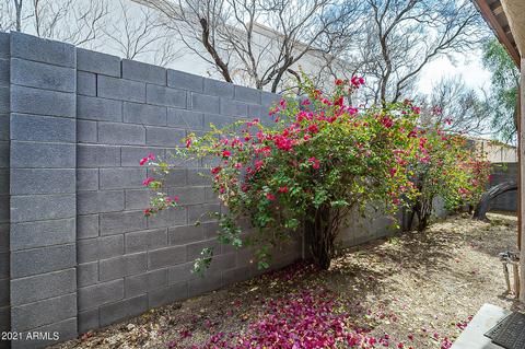 6720 Encanto St #67, Mesa, AZ 85205 photo 31