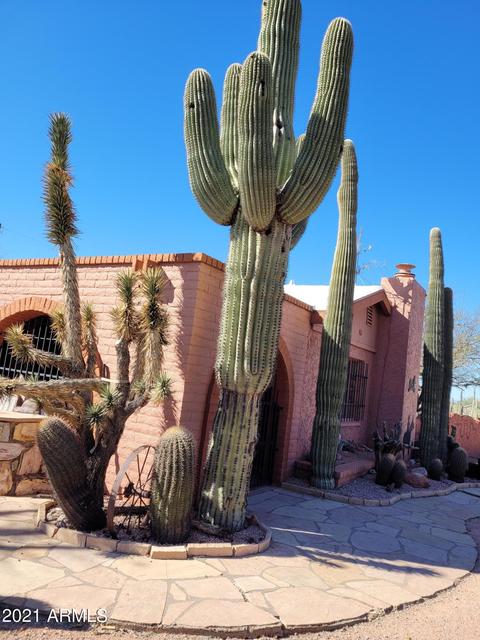 9261 E Quarterline Rd, Mesa, AZ 85207 photo 44