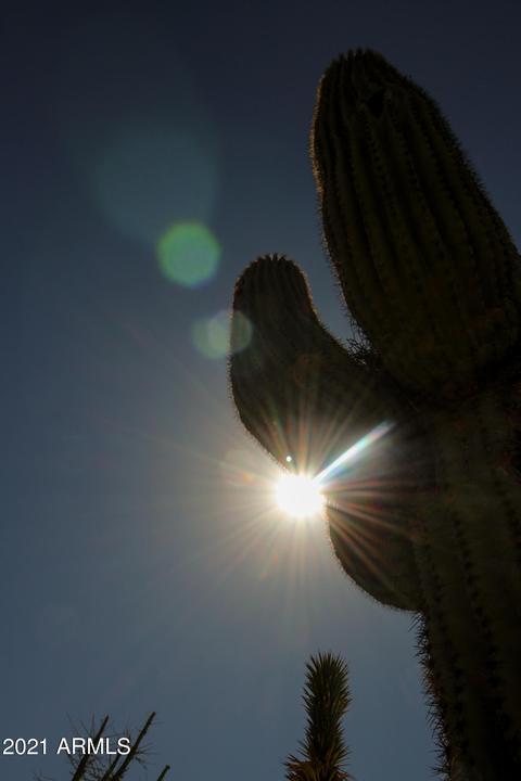 9261 E Quarterline Rd, Mesa, AZ 85207 photo 17