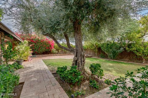 1837 E Tulane Dr, Tempe, AZ 85283 photo 51