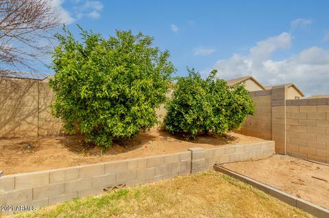 11226 E Stearn Ave, Mesa, AZ 85212 photo 36