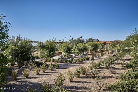 5118 E Gary St, Mesa, AZ 85205 photo 41