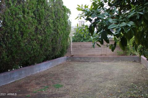 4227 E Coolbrook Ave, Phoenix, AZ 85032 photo 10