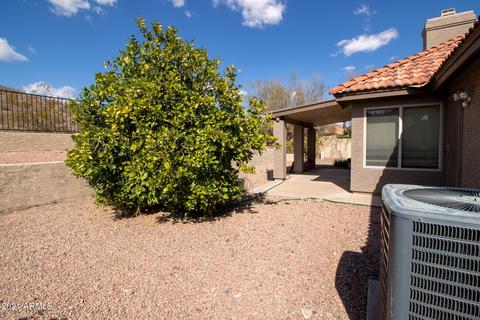 3608 E Mountain Sky Ave, Phoenix, AZ 85044 photo 37