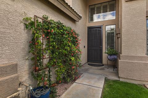355 E Sagebrush St, Gilbert, AZ 85296 photo 3