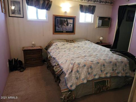 1878 W Roundup St, Apache Junction, AZ 85120 photo 10