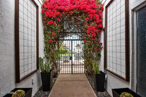 643 E Tam Oshanter Dr, Phoenix, AZ 85022 photo 9
