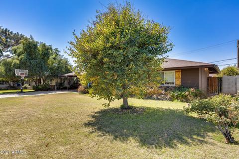 7738 N 17th Dr, Phoenix, AZ 85021 photo 3