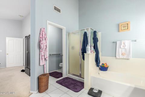 8160 Enrose St, Mesa, AZ 85207 photo 21