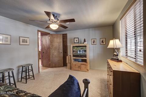 3330 N Fuller Dr, Pine, AZ 85544 photo 17
