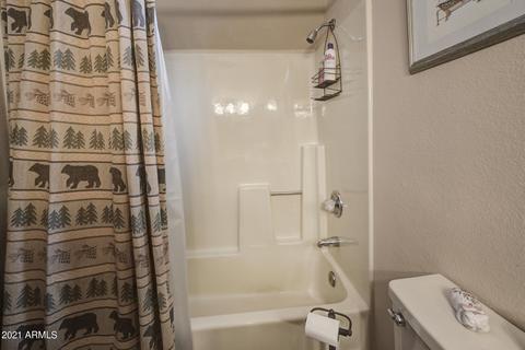 3330 N Fuller Dr, Pine, AZ 85544 photo 23