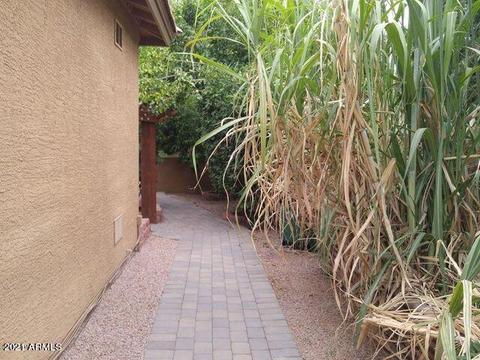 2933 E Nolan Pl, Chandler, AZ 85249 photo 19