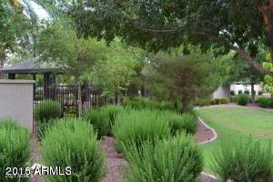 3781 E Hans Dr, Gilbert, AZ 85296 photo 13