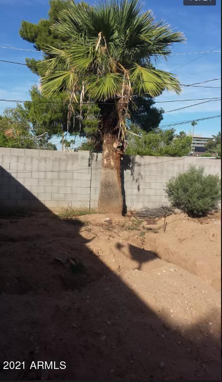 2514 E Coolidge St, Phoenix, AZ 85016 photo 23