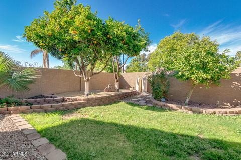 1044 W Iris Dr, Gilbert, AZ 85233 photo 54