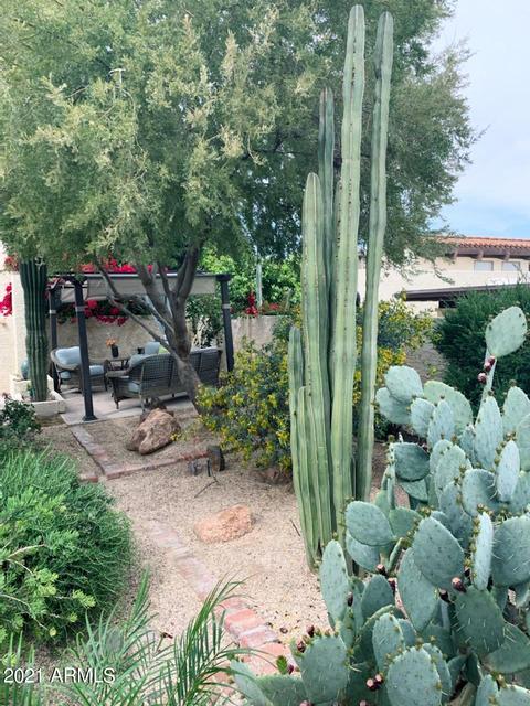 4706 E Ardmore Rd, Phoenix, AZ 85044 photo 12