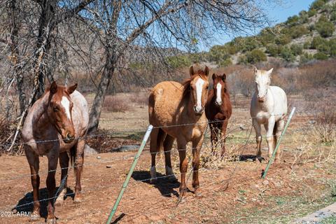2620 N Dancing Apache Rd, Cornville, AZ 86325 photo 67