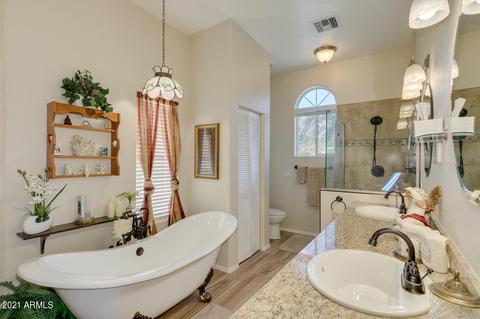 921 W Saddle Butte St, Apache Junction, AZ 85120 photo 28