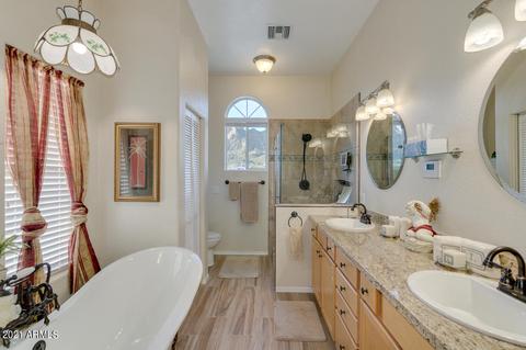 921 W Saddle Butte St, Apache Junction, AZ 85120 photo 27