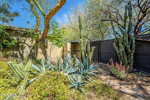 1501 W Lawrence Ln, Phoenix, AZ 85021 photo 55