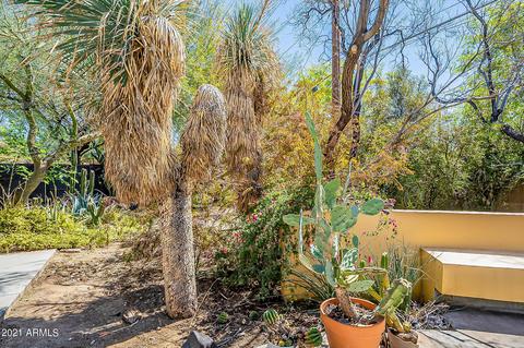 1501 W Lawrence Ln, Phoenix, AZ 85021 photo 53
