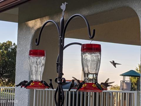 1210 E Apache Pointe Rd, Hereford, AZ 85615 photo 96