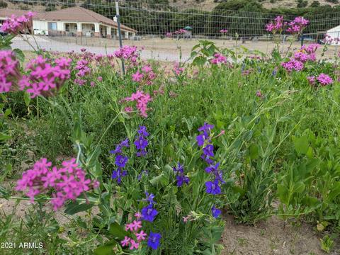 1210 E Apache Pointe Rd, Hereford, AZ 85615 photo 89