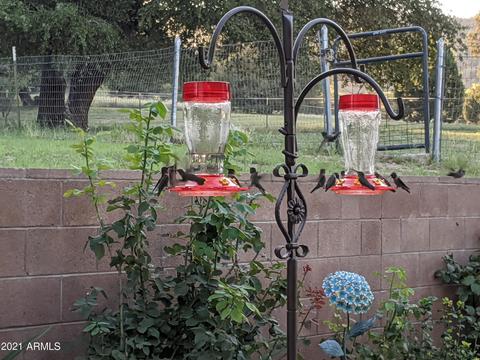 1210 E Apache Pointe Rd, Hereford, AZ 85615 photo 95