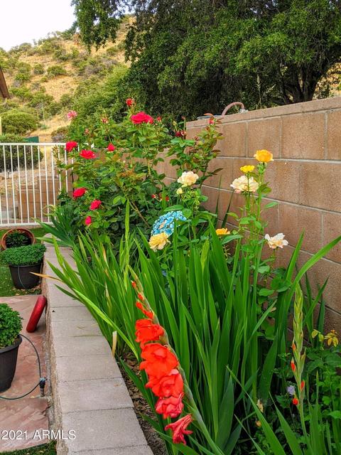 1210 E Apache Pointe Rd, Hereford, AZ 85615 photo 88
